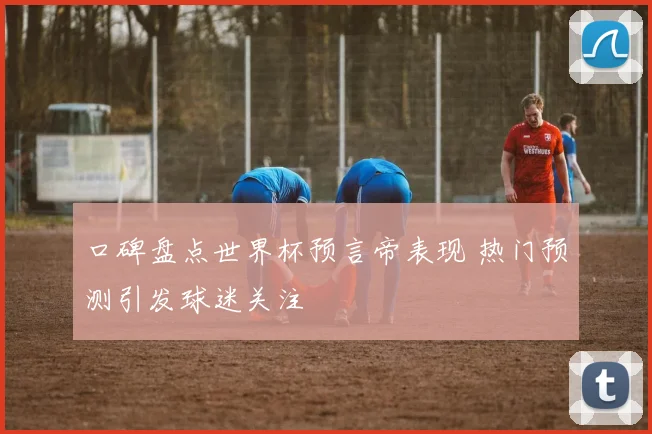 口碑盘点世界杯预言帝表现 热门预测引发球迷关注