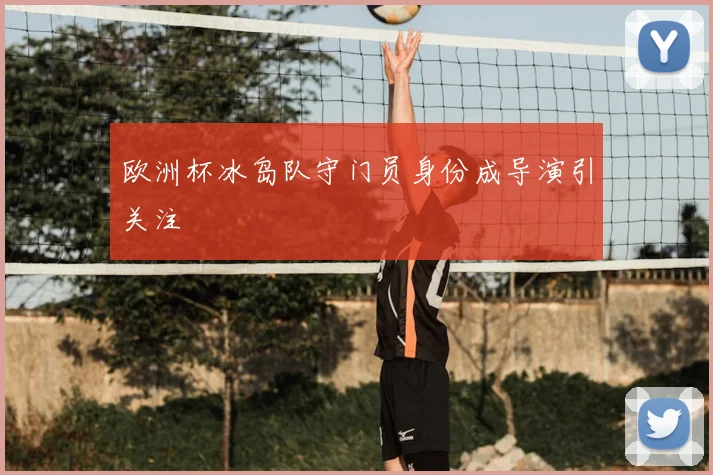 欧洲杯冰岛队守门员身份成导演引关注