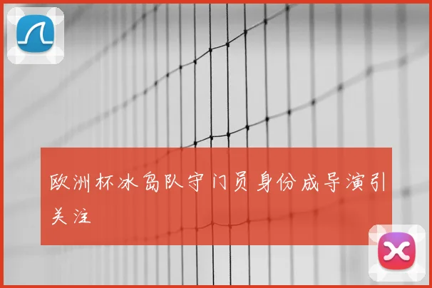 欧洲杯冰岛队守门员身份成导演引关注